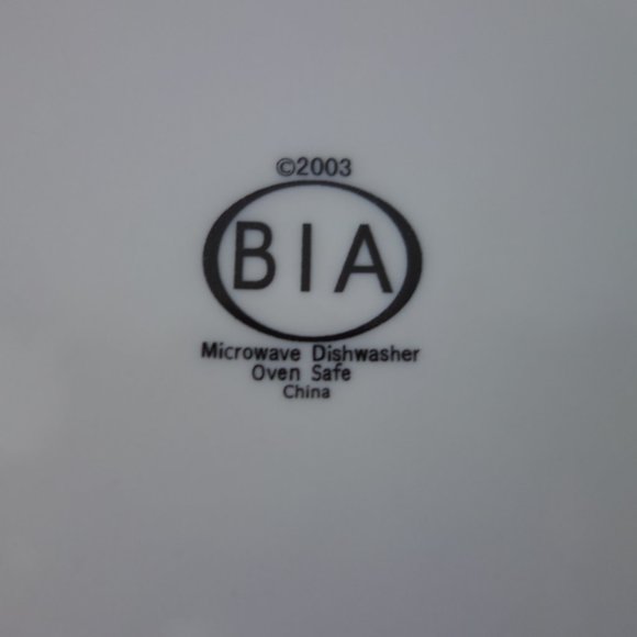 Set of Four(4) BIA Microwave Dishwasher Oven Safe Camembert Ceramic Plates - Picture 4 of 7